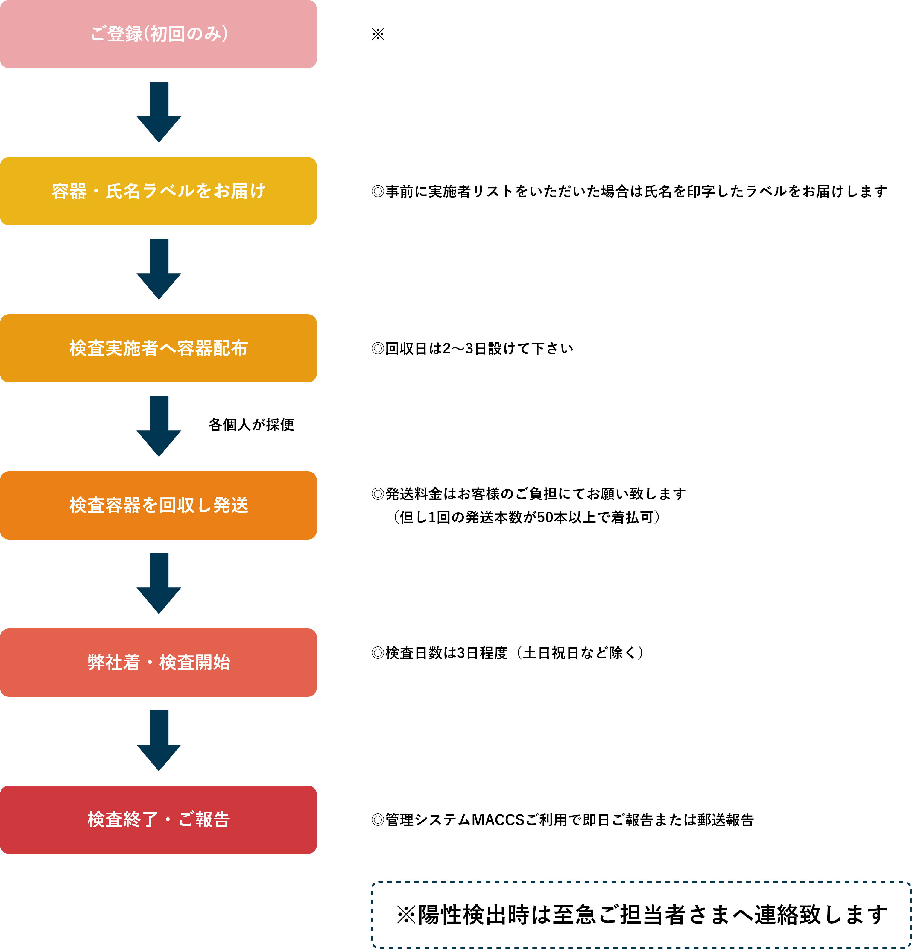 検査の流れ 《A・AⅡパターン》